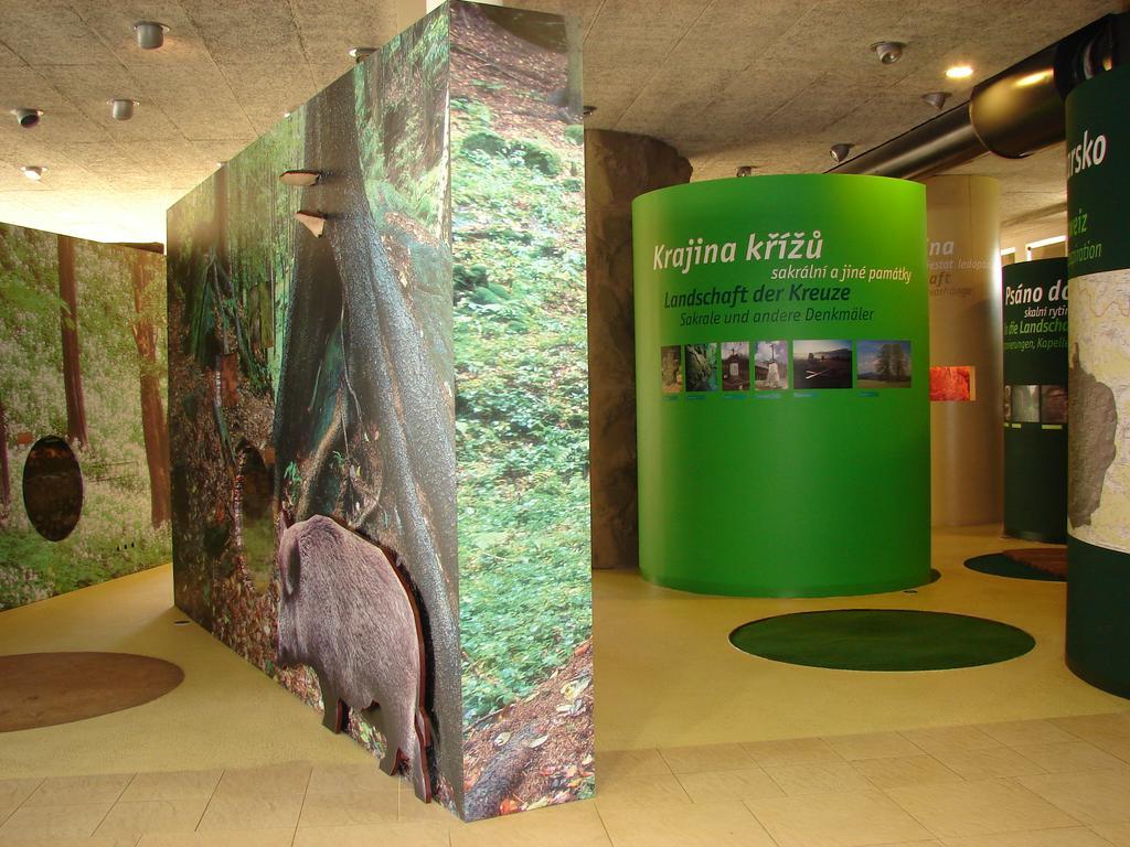 Apartman - Dum Ceskeho Svycarska Krásná Lípa Exterior foto
